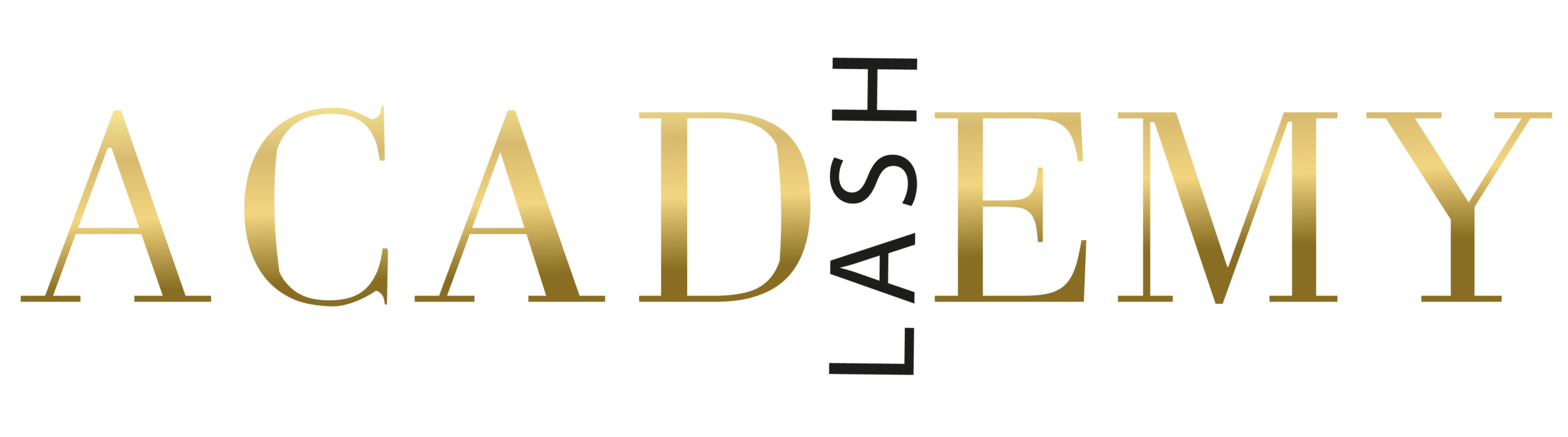 ACADEMY lash logo веб колір-04